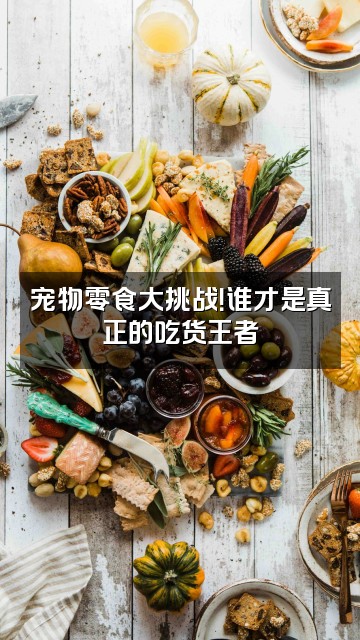 抖音宠物解压站视频封面：宠物零食大挑战！谁才是真正的吃货王者